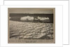 Weathered ice after blizzard at Cape Evans, looking to Castle Rock. by Herbert George Ponting