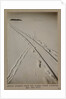 Adelie penguin track and sledge track crossing by Herbert George Ponting