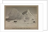 Church Berg and seals by Herbert George Ponting