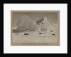 Church Berg and seals by Herbert George Ponting