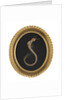 Framed and bound pigtail of John Adams by Unknown