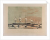 Clipper ship 'Red Jacket' by John R. Isaac