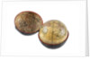 Terrestrial and celestial pocket globe, in case by Unknown