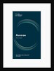 Illuminates series: 'Aurorae' by Bryony Lanigan by Anonymous