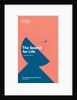 Illuminates series: 'The Search for Life' by Hannah Banyard by Anonymous