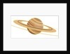 Saturn by Anonymous
