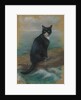 Oscar, cat from the German ship 'Bismarck' by Georgina Shaw Baker