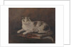 The cat of HMS 'Exeter' by Georgina Shaw Baker