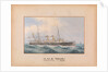 HMS Pearl Manoeuvres - 1893 by Unknown