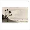 A landscape photograph of a Sri Lankan man looking out to sea. by Unknown