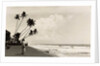 A landscape photograph of a Sri Lankan man looking out to sea. by Unknown