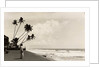 A landscape photograph of a Sri Lankan man looking out to sea. by Unknown