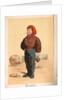 Souvenirs de Boulogne Sur Mer Book - Mousse by Unknown