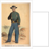 Souvenirs de Boulogne Sur Mer Book - Douanier de la patache by Unknown