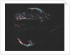 "AMAT Image; Cygnus Loop aka Veil Complex by Unknown