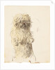 A dog of unconfirmed breed, shown standing on hind legs in a posture associated with begging by Unknown