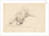 Dog lying with it's head on one side on a rug by Unknown