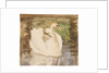 A swan with partly folded wings by Unknown