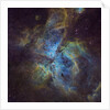 Eta Carina Nebula by Thomas Davis