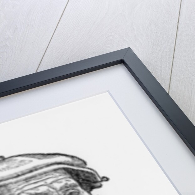 Niccolo Tartaglia, Italian mathematician and mechanician, 1550s by Unknown