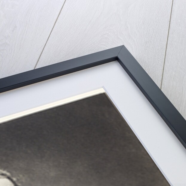 Joseph Jackson Lister, English wine merchant and amateur microscopist, 1830s by Maull & Co