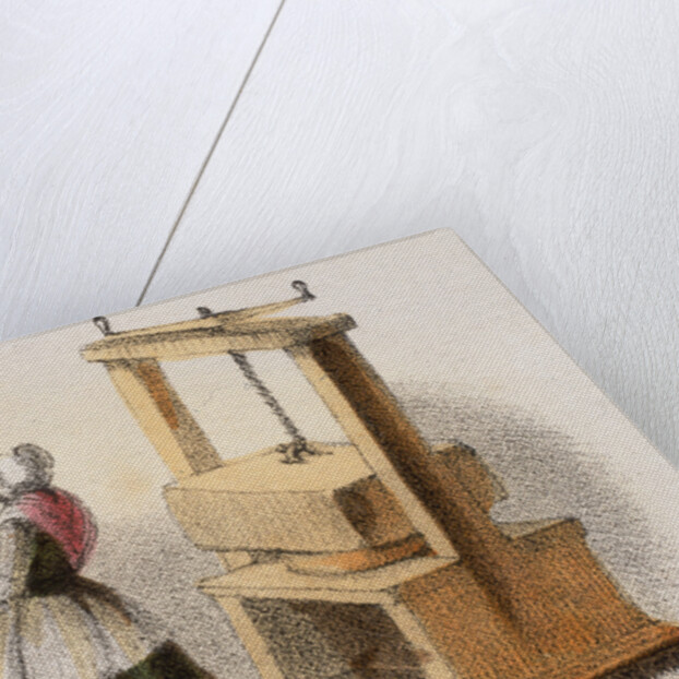 Cheese, c1845. by Benjamin Waterhouse Hawkins