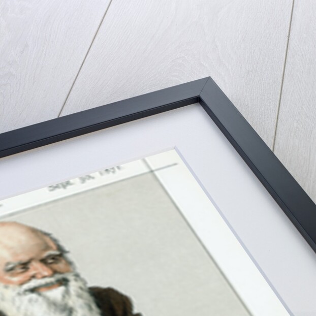 Charles Darwin, English naturalist, 1871 by Unknown