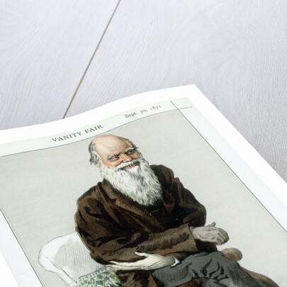 Charles Darwin, English naturalist, 1871 by Unknown