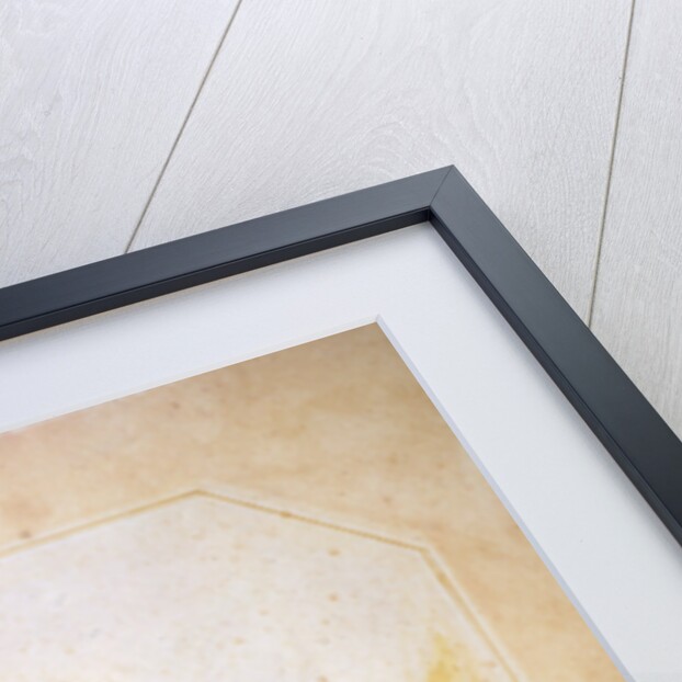 Charles Darwin, English naturalist by Unknown