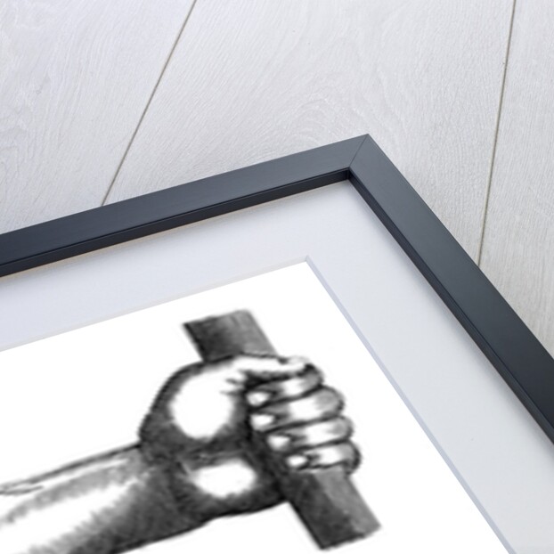 Circulation of the blood, 1628 by Unknown