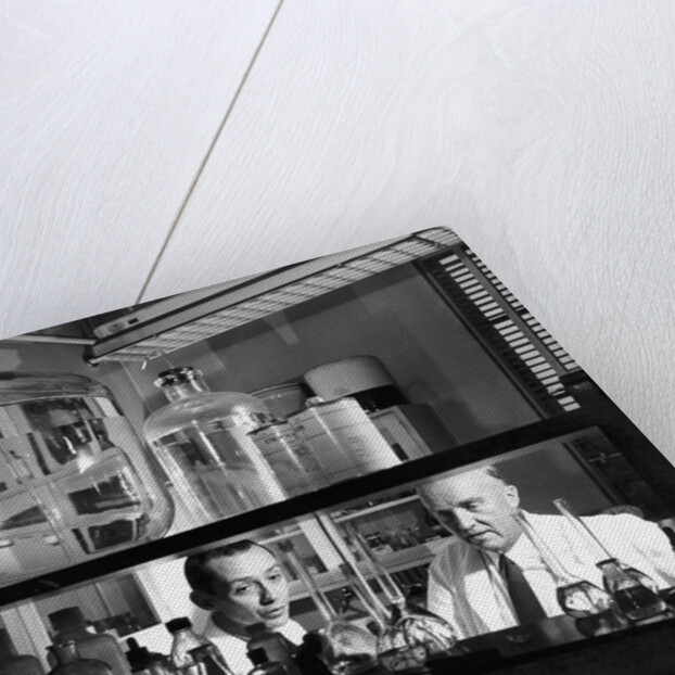 Charles Herbert Best, Canadian physiologist, 1960 by Unknown