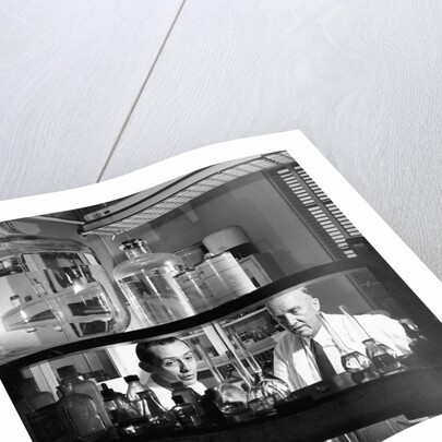 Charles Herbert Best, Canadian physiologist, 1960 by Unknown