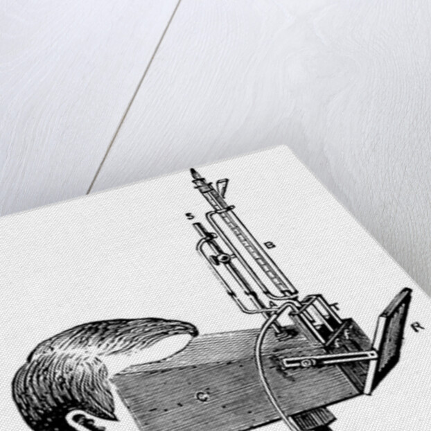 Colorimeter, after a design by Labilliardiere with modifications by Salleron, 1871 by Unknown