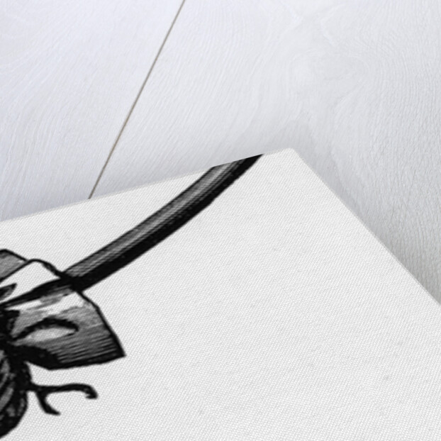 Cartridge from Nobel Explosives Company Limited, Ardeer, Ayrshire, 1884 by Unknown