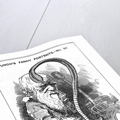 Charles Darwin, English naturalist, 1881 by Edward Linley Sambourne