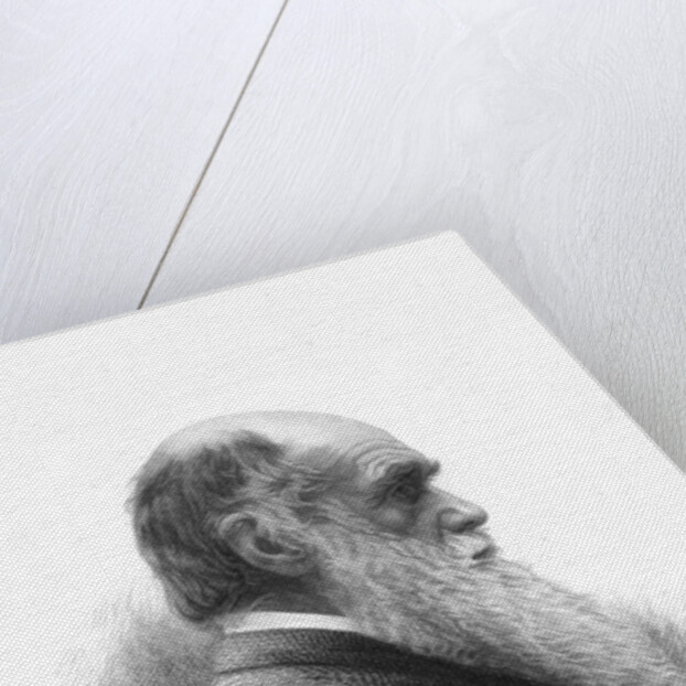Charles Darwin, English naturalist, c1880 by Unknown