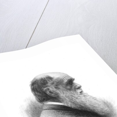 Charles Darwin, English naturalist, c1880 by Unknown