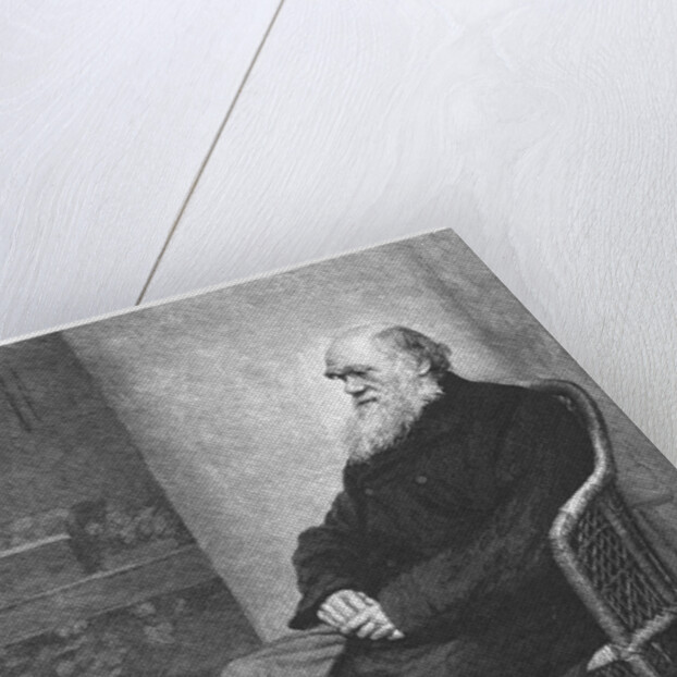 Charles Darwin, English naturalist, 1883 by Unknown