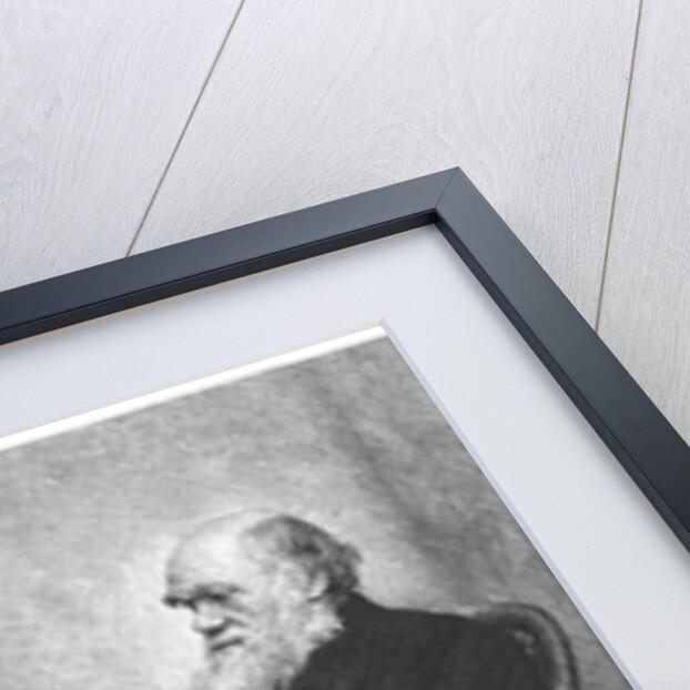 Charles Darwin, English naturalist, 1883 by Unknown