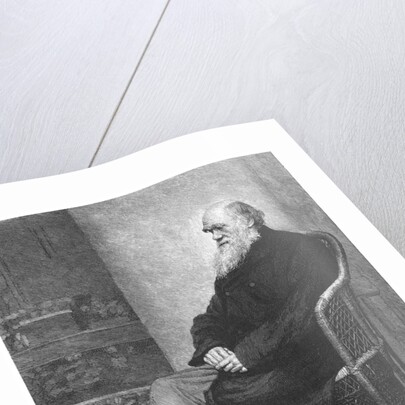 Charles Darwin, English naturalist, 1883 by Unknown