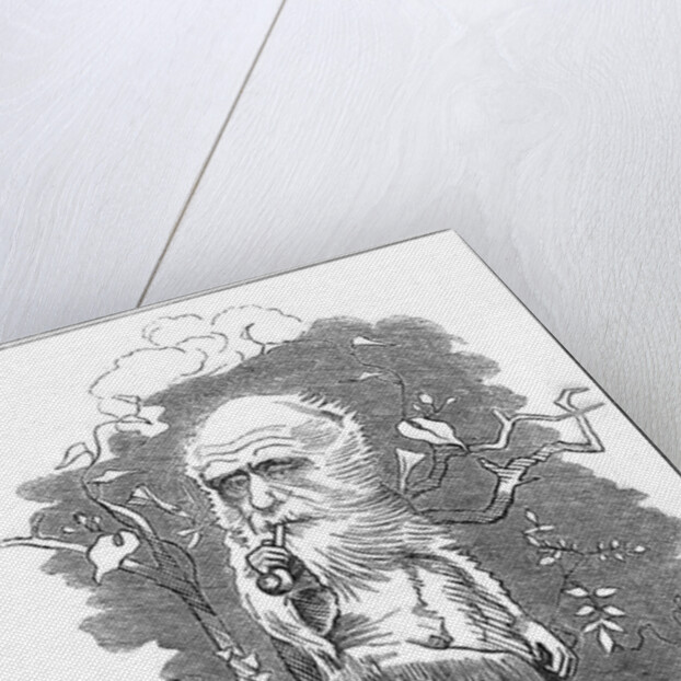 Charles Darwin, English naturalist, 1875 by Edward Linley Sambourne