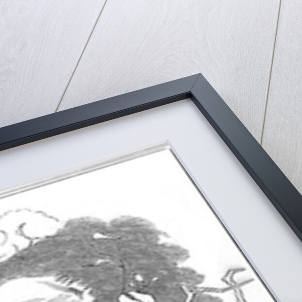 Charles Darwin, English naturalist, 1875 by Edward Linley Sambourne