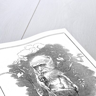 Charles Darwin, English naturalist, 1875 by Edward Linley Sambourne