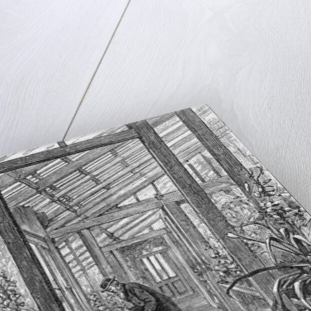 Charles Darwin (1809-1882), English naturalist, in his greenhouse by Unknown