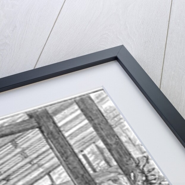 Charles Darwin (1809-1882), English naturalist, in his greenhouse by Unknown