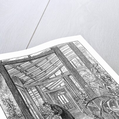 Charles Darwin (1809-1882), English naturalist, in his greenhouse by Unknown