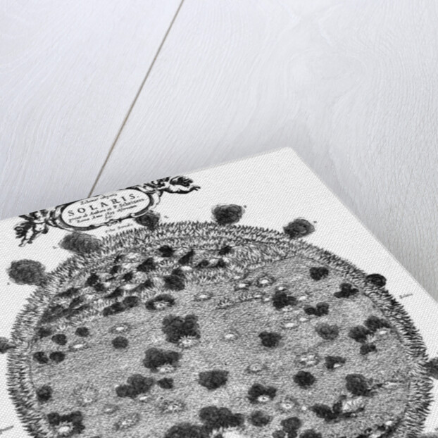 Christopher Scheiner's illustration of his idea of the surface of the sun, 1635 by Unknown