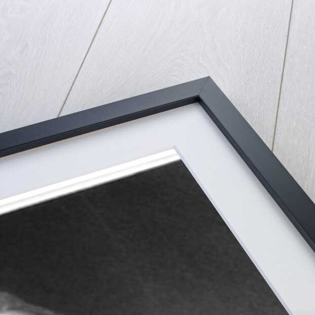 Carolus Linnaeus, 18th century Swedish naturalist, 1835 by Unknown