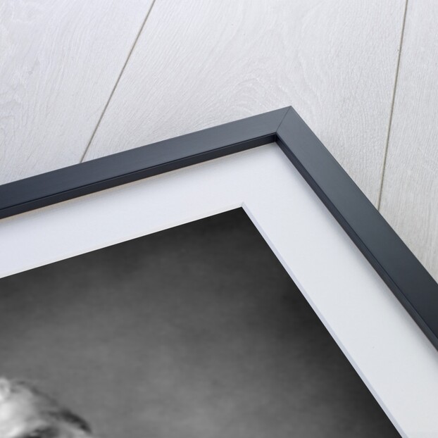 Thomas Henry Huxley, British biologist, c1890 by W&D Downey