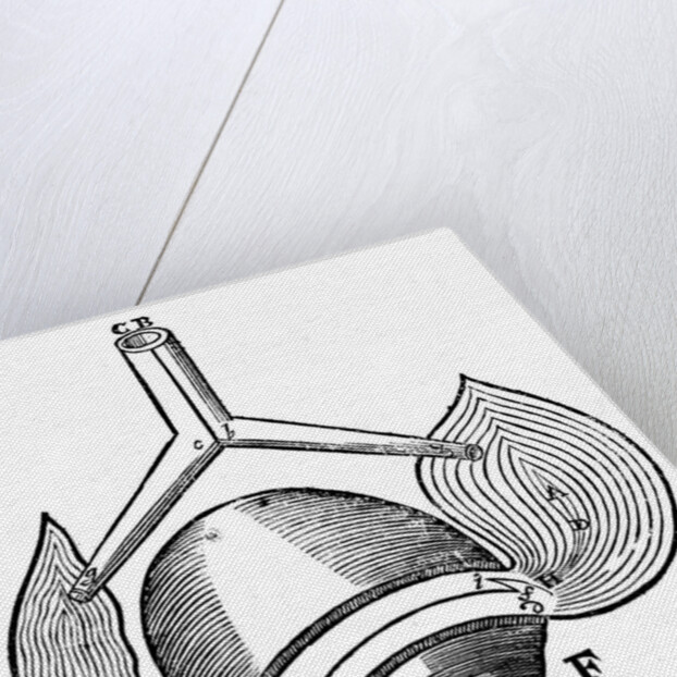 Descartes' representation of the antagonistic eye muscles, 1692 by Unknown